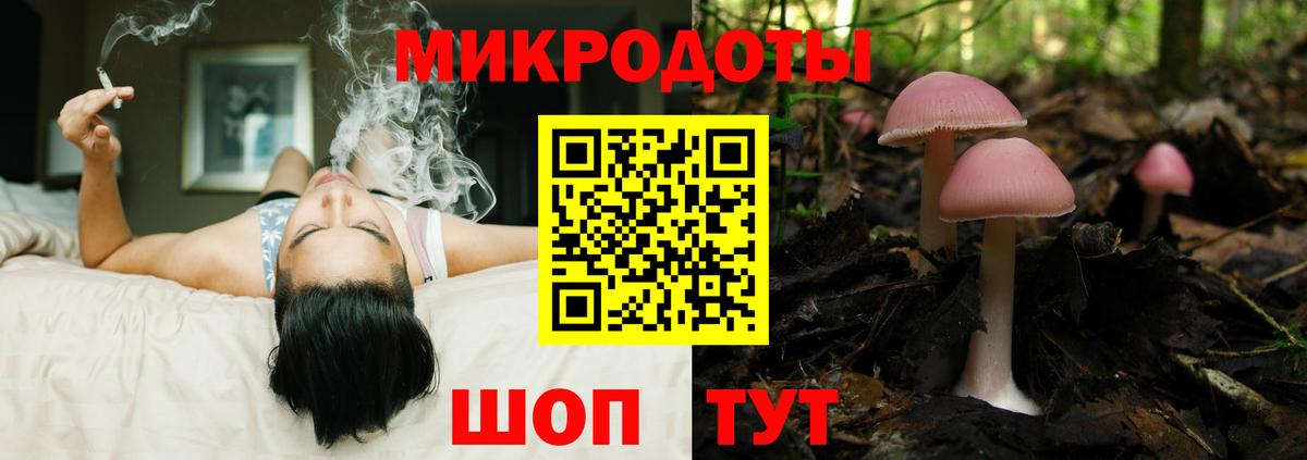 купить  цена  Псилоцибиновые грибы Cubensis  Вход с VPN  Нефтекамск 